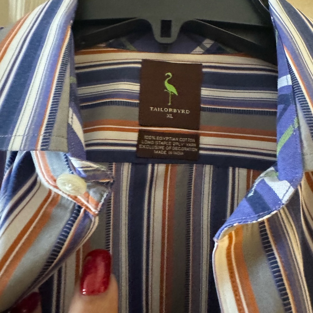 Tailorbyrd Men's Multicolor Striped Shirt